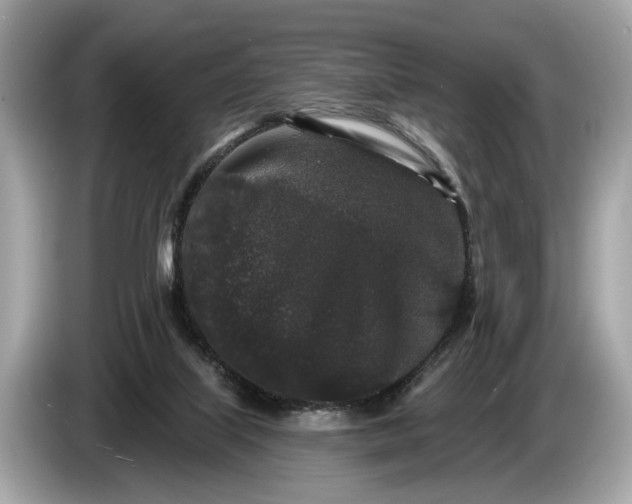 X0000085080067200703191334