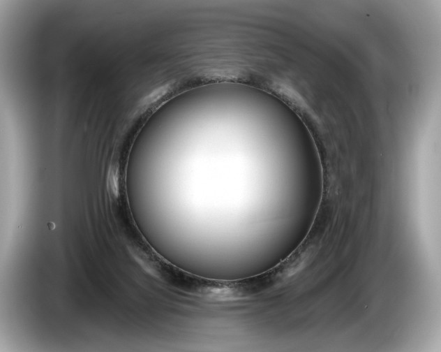 X0000085080068200703191334