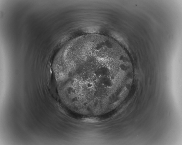 X0000085080069200703191334