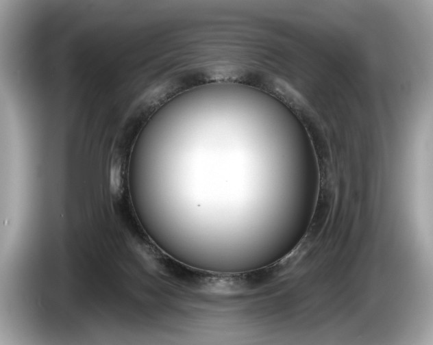 X0000085080074200703191334