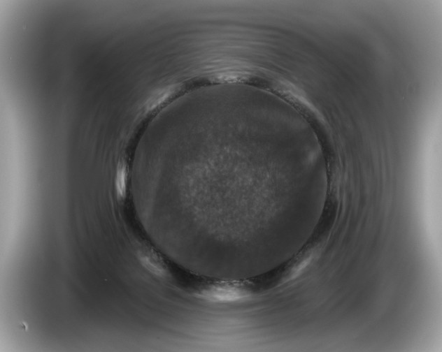 X0000085080076200703191334