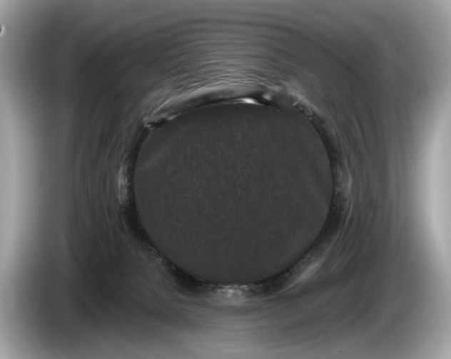 X0000085080080200703191334