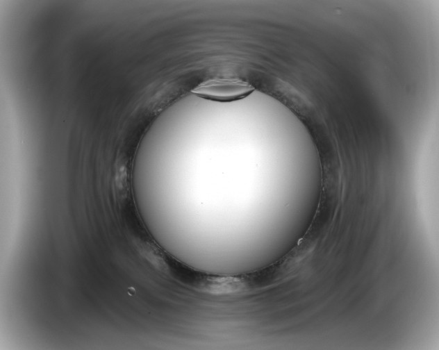 X0000085080087200703191335