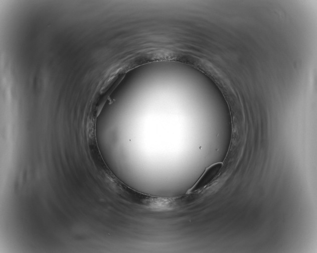 X0000085080096200703191335