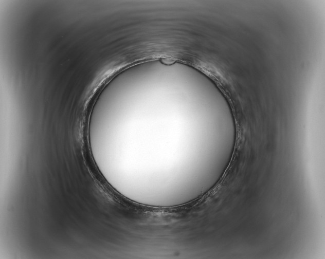 X0000085080098200703191334