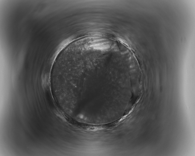 X0000085080099200703191334