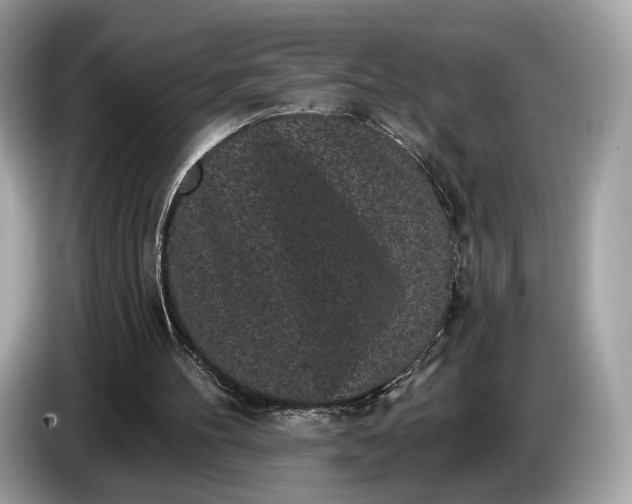 X0000085080100200703191334