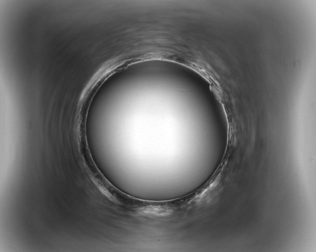 X0000085080101200703191334