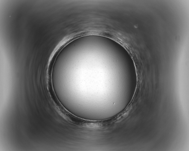 X0000085080102200703191334