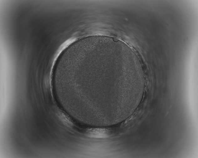 X0000085080104200703191334