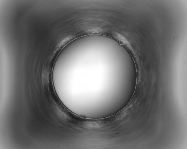 X0000085080106200703191334