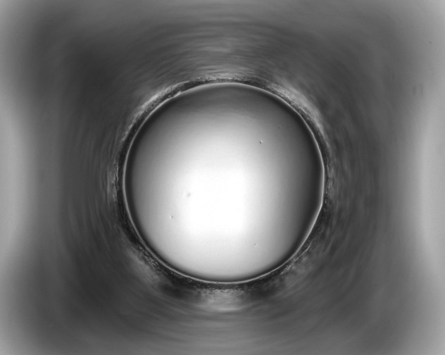 X0000085080107200703191334