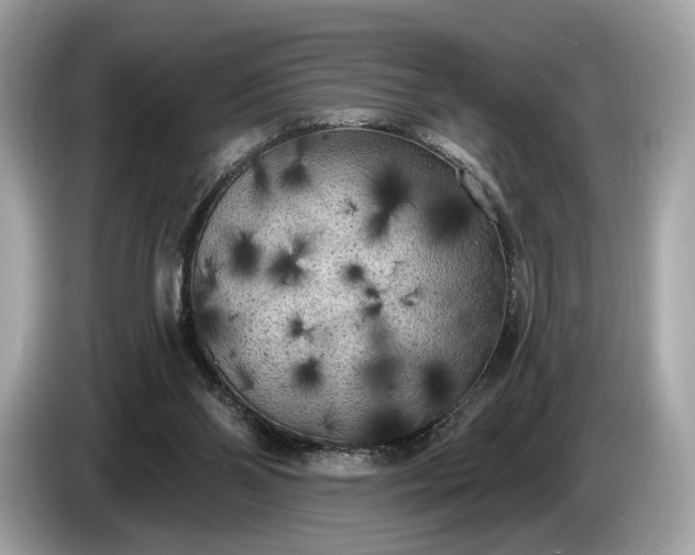 X0000085080110200703191334