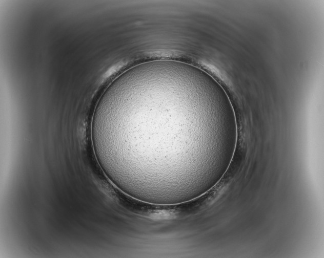 X0000085080111200703191334