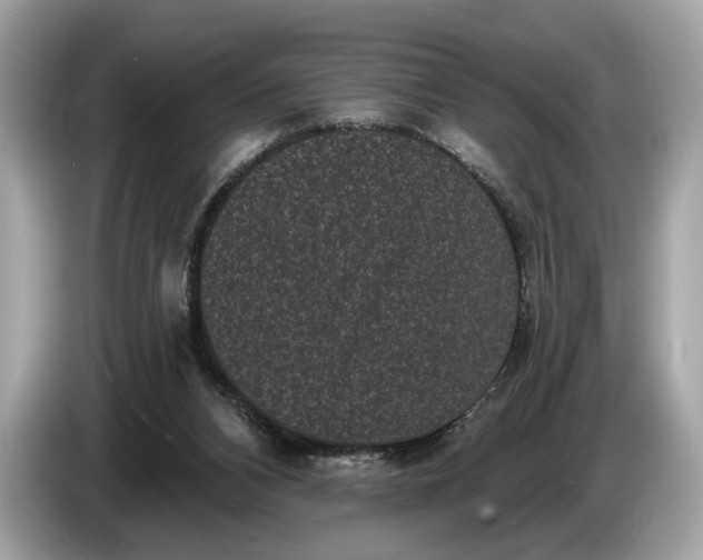 X0000085080112200703191334