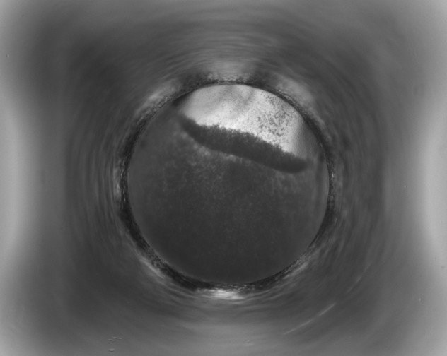 X0000085080114200703191334