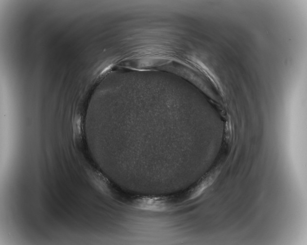 X0000085080117200703191334