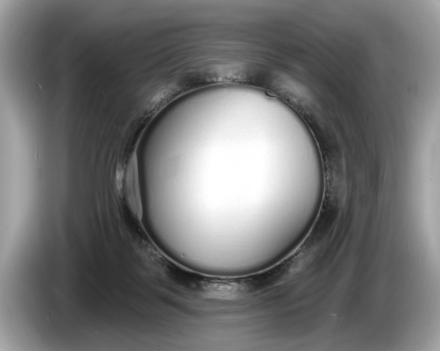 X0000085080123200703191333