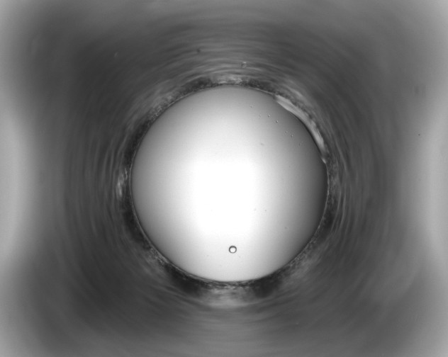 X0000085080125200703191333