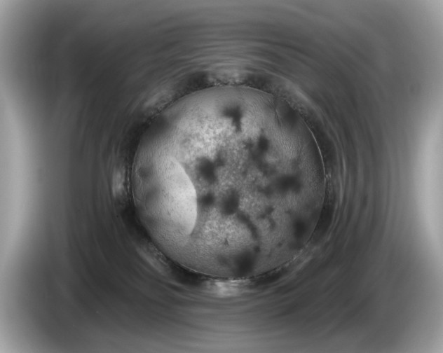 X0000085080134200703191333