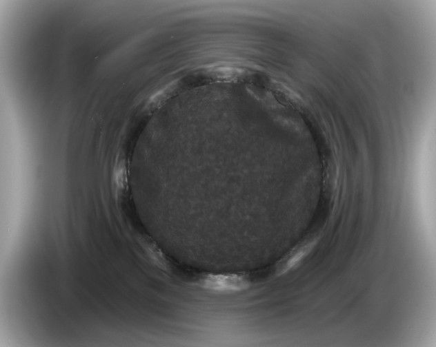 X0000085080137200703191333