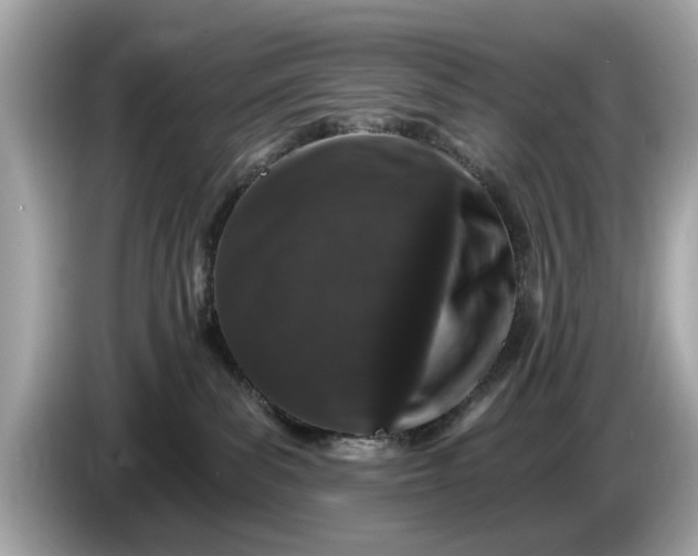 X0000085080139200703191333