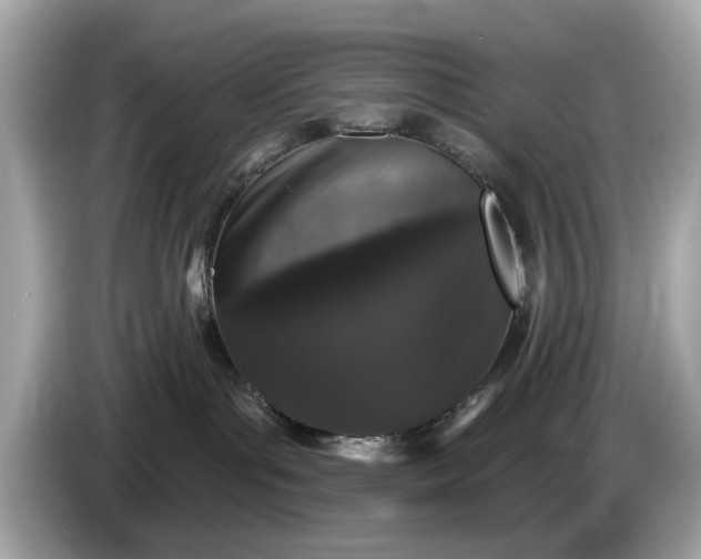 X0000085080143200703191333