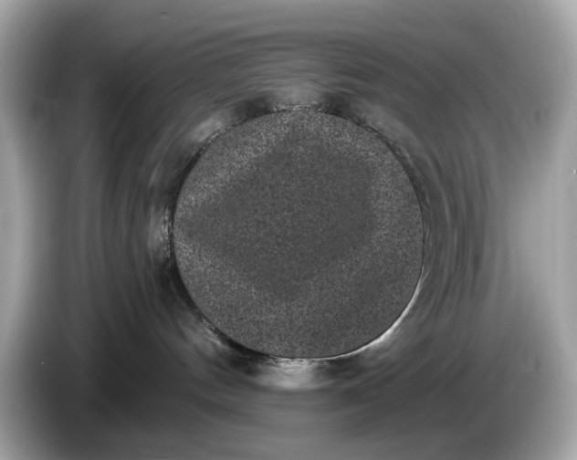 X0000085080144200703191333