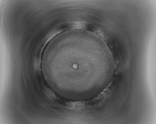 X0000085080146200703191332