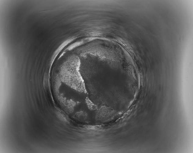 X0000085080147200703191332