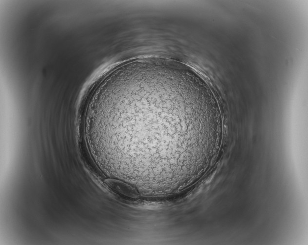 X0000085080149200703191332