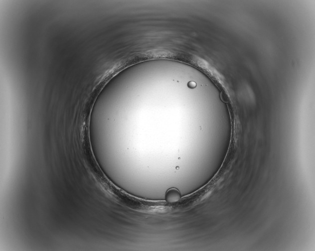 X0000085080153200703191332