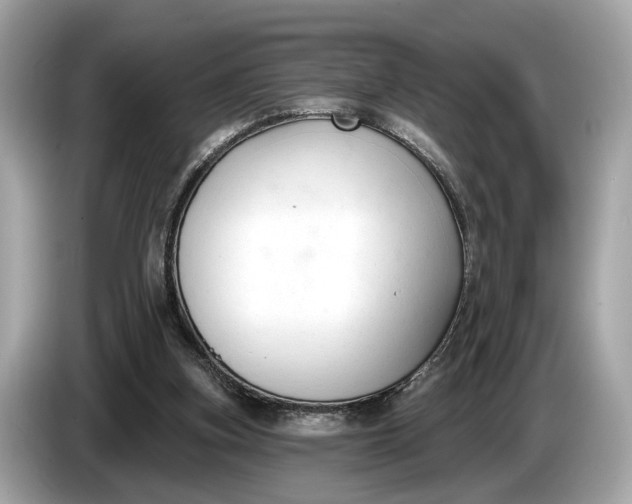 X0000085080155200703191332