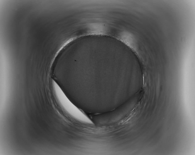 X0000085080156200703191333