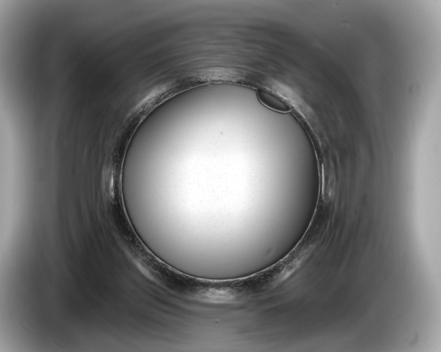 X0000085080157200703191333