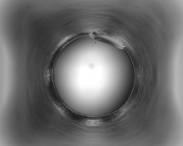 X0000085080160200703191333