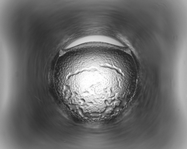 X0000085080161200703191333