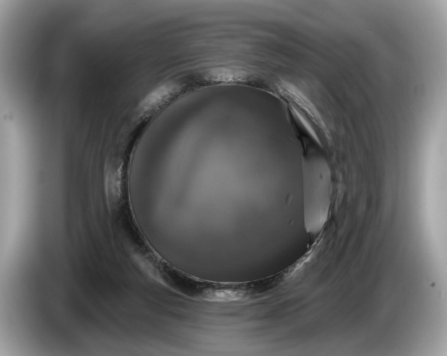 X0000085080163200703191333