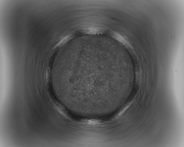 X0000085080165200703191333