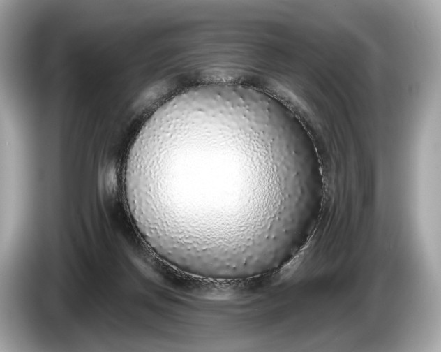 X0000085080166200703191333