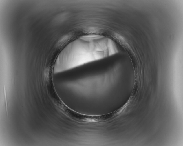 X0000085080167200703191333