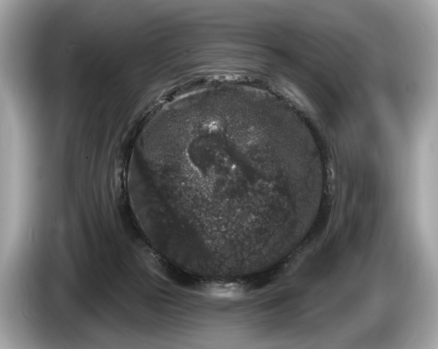 X0000085080169200703191333