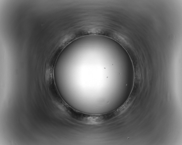 X0000085080172200703191333