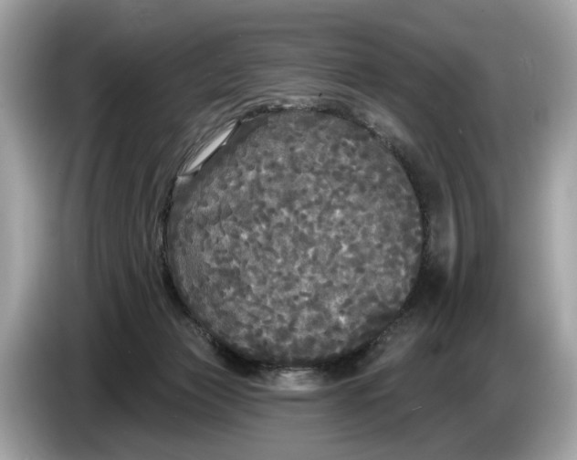 X0000085080173200703191333