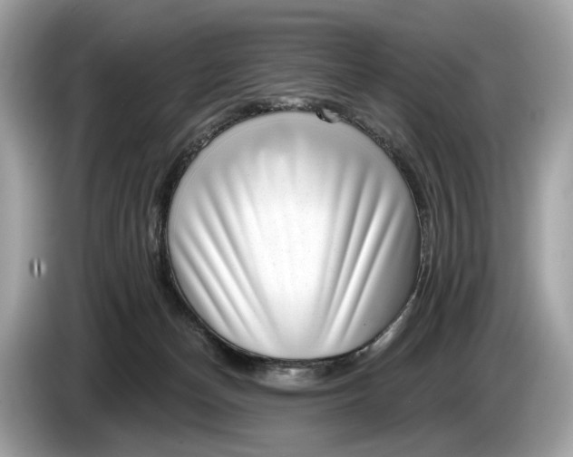 X0000085080174200703191333