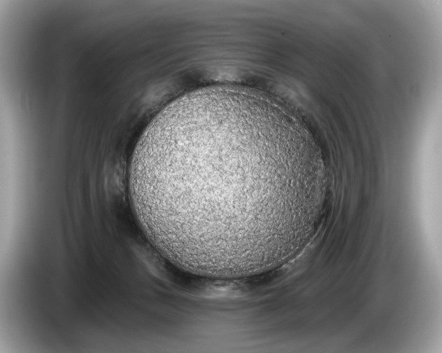 X0000085080175200703191333