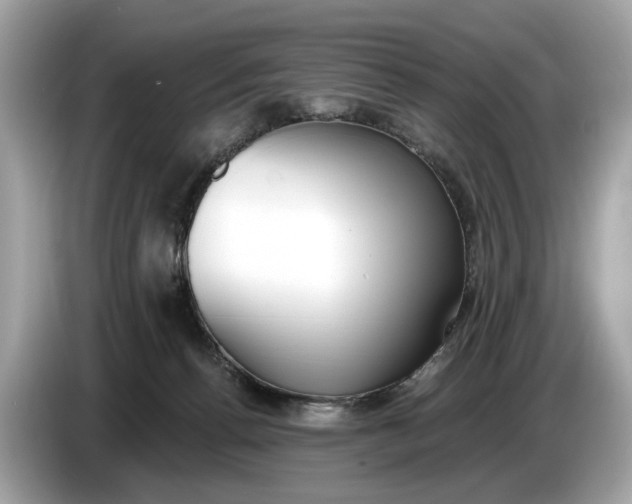 X0000085080176200703191333