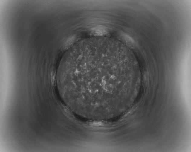 X0000085080177200703191333