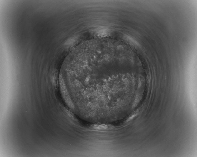 X0000085080181200703191333