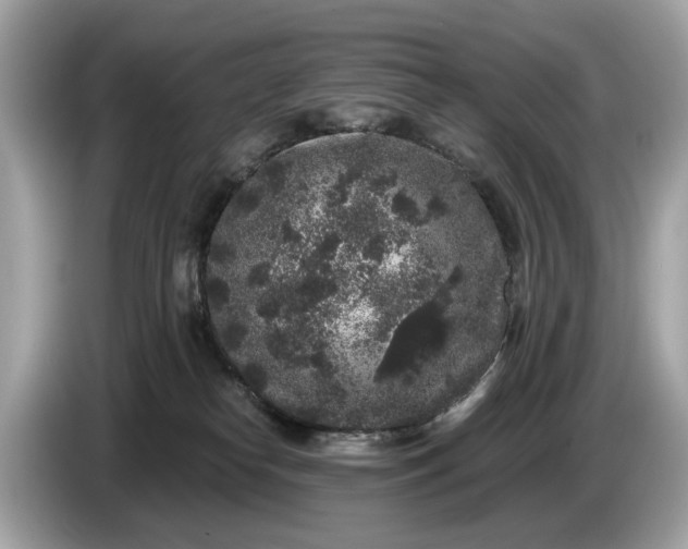 X0000085080182200703191333